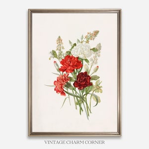 Vintage Carnation Botanical Print Wall Art Digital Download Red And White Floral Antique Illustration Cottagecore Farmhouse Flower Decor