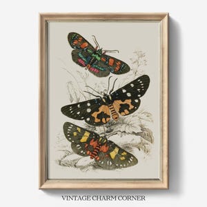 Levendige nachtvlinders Vintage illustratie digitale download natuur kunst afdrukbare wanddecoratie voor Cottagecore vintage en op de natuur geïnspireerde woninginrichting