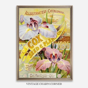 May include: Vintage framed print featuring an illustration of irises. The artwork includes the text "Illustrated Catalogue" and "Cox Seed & Plant Co." with the year "1895." The print has a gold frame and the text "San Francisco - Cal."