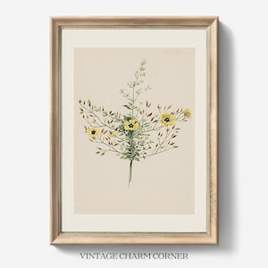 Vintage Botanical Gallery Wall Print,  Illustration Of Yellow Wildflowers Farmhouse Decor, Floral Watercolor Painting, Digital Downloadable