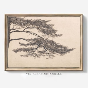 Vintage Pine Tree Sketch Art Print, Tree Art Print, Pine Tree Branch Print, Muted Wall Art, Digital Art Print, Farmhouse Decor, Neutral Art