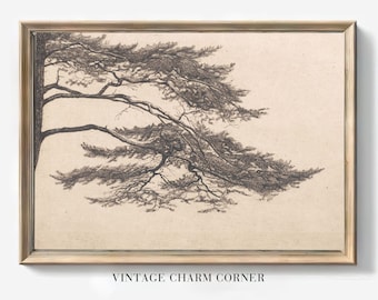 Vintage Pine Tree Sketch Art Print, Tree Art Print, Pine Tree Branch Print, Muted Wall Art, Digital Art Print, Farmhouse Decor, Neutral Art