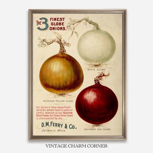 May include: Vintage framed print featuring three globe onions: yellow, white, and red. The print includes text that reads "The Finest Globe Onions" and details from D.M. Ferry & Co., Detroit, Mich. The print is labeled "Vintage Charm Corner."