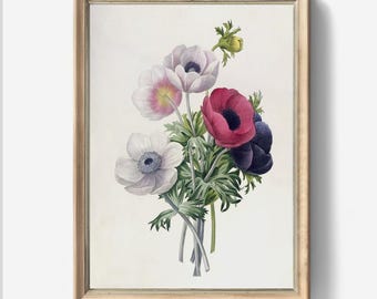 Anemone Flower Art Print by Pierre Joseph Redouté Vintage Botanical Digital Download Watercolor Floral Illustration Home Decor Instant Print