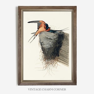 Audubon Rauchschwalbe Vintage Vogel Illustration, Cottagecore Wandkunst, Antike Bauernhaus Dekoration, Natur Digital Download Print