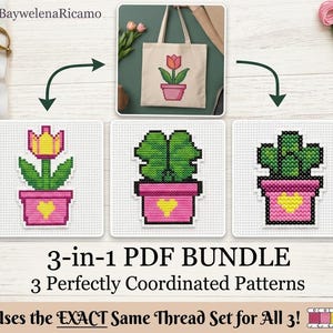 Può includere: Modelli a punto croce di piante in vaso, tra cui un tulipano, un quadrifoglio e un cactus. I disegni sono mostrati su tessuto bianco, con un design di borsa abbinato. Il testo recita "3-in-1 PDF BUNDLE" e "Uses the EXACT Same Thread Set for All 3!"