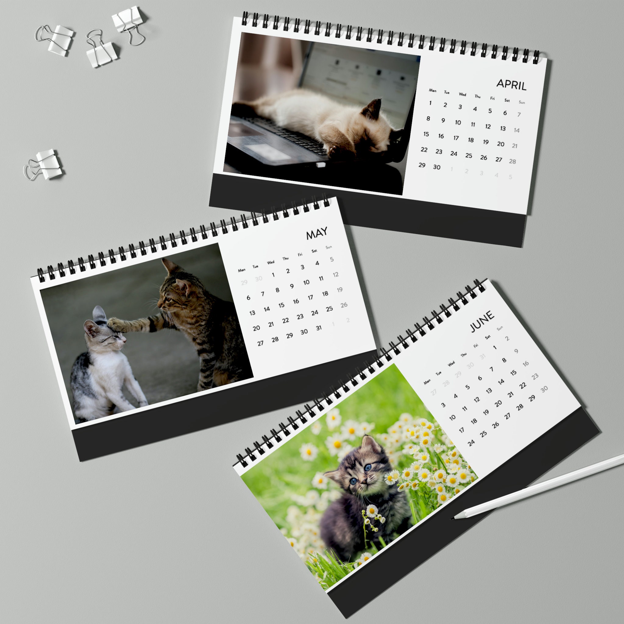 Cat Desk Calendar 2024 Grid Etsy