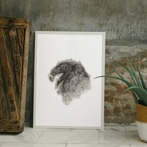 Urubu V - feminist art print UNFRAMED