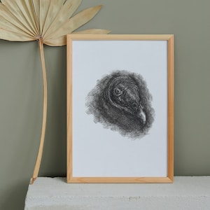 Peut inclure: Un dessin au crayon noir et blanc encadré d'une tête d'oiseau, avec un cadre en bois brun clair sur un mur vert avec une feuille de palmier séchée en arrière-plan.