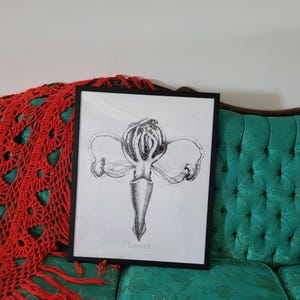 May include: A black and white framed print of a stylized anatomical illustration of a female reproductive system with the word "Kraken" at the bottom.
