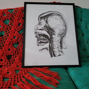 May include: Black and white anatomical drawing of a person's head and neck, with the mouth open and the inside of the throat visible. The drawing is framed and displayed on a wall.