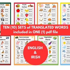 Könnte beinhalten: Zehn bunte Charts mit englischen und irischen Wörtern für verschiedene Kategorien, darunter Zootiere, Früchte, Lebensmittel, Kleidung, Berufe, Nutztiere, Gemüse und Wetter/Jahreszeiten. Jede Karte hat einen Titel in Englisch und Irisch.
