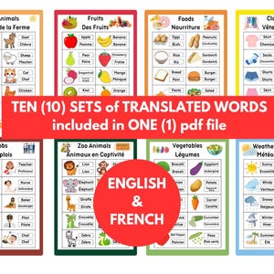 Puede incluir: Diez tablas coloridas con palabras de vocabulario en inglés y francés para varias categorías, incluyendo animales de granja, frutas, alimentos, ropa, trabajos, animales del zoológico, verduras y clima/estaciones. Las tablas están diseñadas para aprender y enseñar.