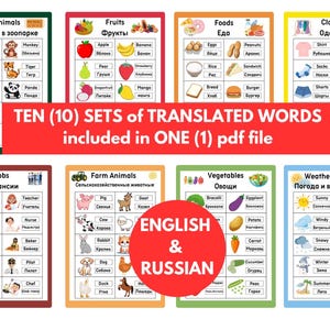 May include: Ten colorful charts with English and Russian words for various categories, including zoo animals, fruits, foods, clothes, jobs, farm animals, vegetables, and weather/seasons. Each chart has a grid layout with images and text.