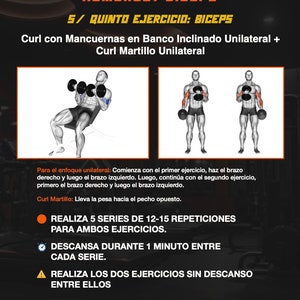 May include: An infographic detailing a biceps workout routine. The image shows illustrations of exercises with dumbbells, including incline curls and hammer curls. Text instructions are provided in Spanish, with details on sets, reps, and rest periods.