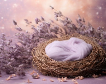 Newborn Digital Backdrop, digital background newborn, digital, backdrop newborn, newborn digital composite digital, nest backdrop