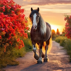 Horse Background, Backdrop, Digital, Animal Backdrop, Photography Backdrop, Wildlife, Nature, Instant Download, Background, Digital Backdrop