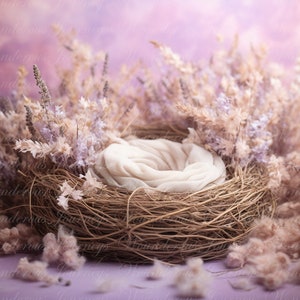 Newborn Digital Backdrop, digital background newborn, digital, backdrop newborn, newborn digital composite digital, nest backdrop