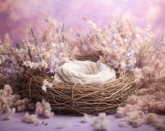Newborn Digital Backdrop, digital background newborn, digital, backdrop newborn, newborn digital composite digital, nest backdrop