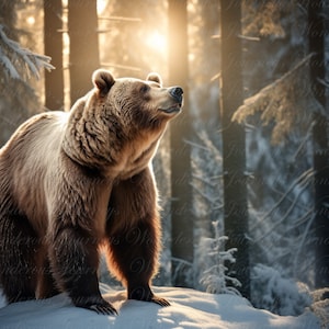 Bear Background, Backdrop, Digital, Animal Backdrop, Photography Backdrop, Wildlife, Nature, Instant Download, Background, Digital Backdrop
