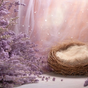 Newborn Digital Backdrop, digital background newborn, digital, backdrop newborn, newborn digital composite digital, nest backdrop