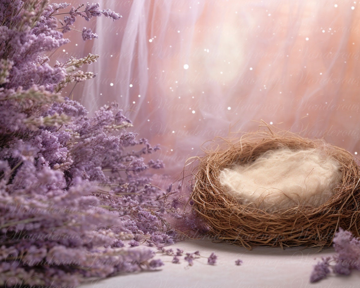 Newborn Digital Backdrop, Digital Background Newborn, Digital, Backdrop