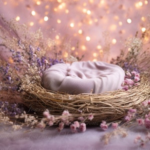 Newborn Digital Backdrop, digital background newborn, digital, backdrop newborn, newborn digital composite digital, nest backdrop