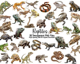 Watercolor Reptile Clipart: Exotic Animal Illustrations (Commercial Use PNG)