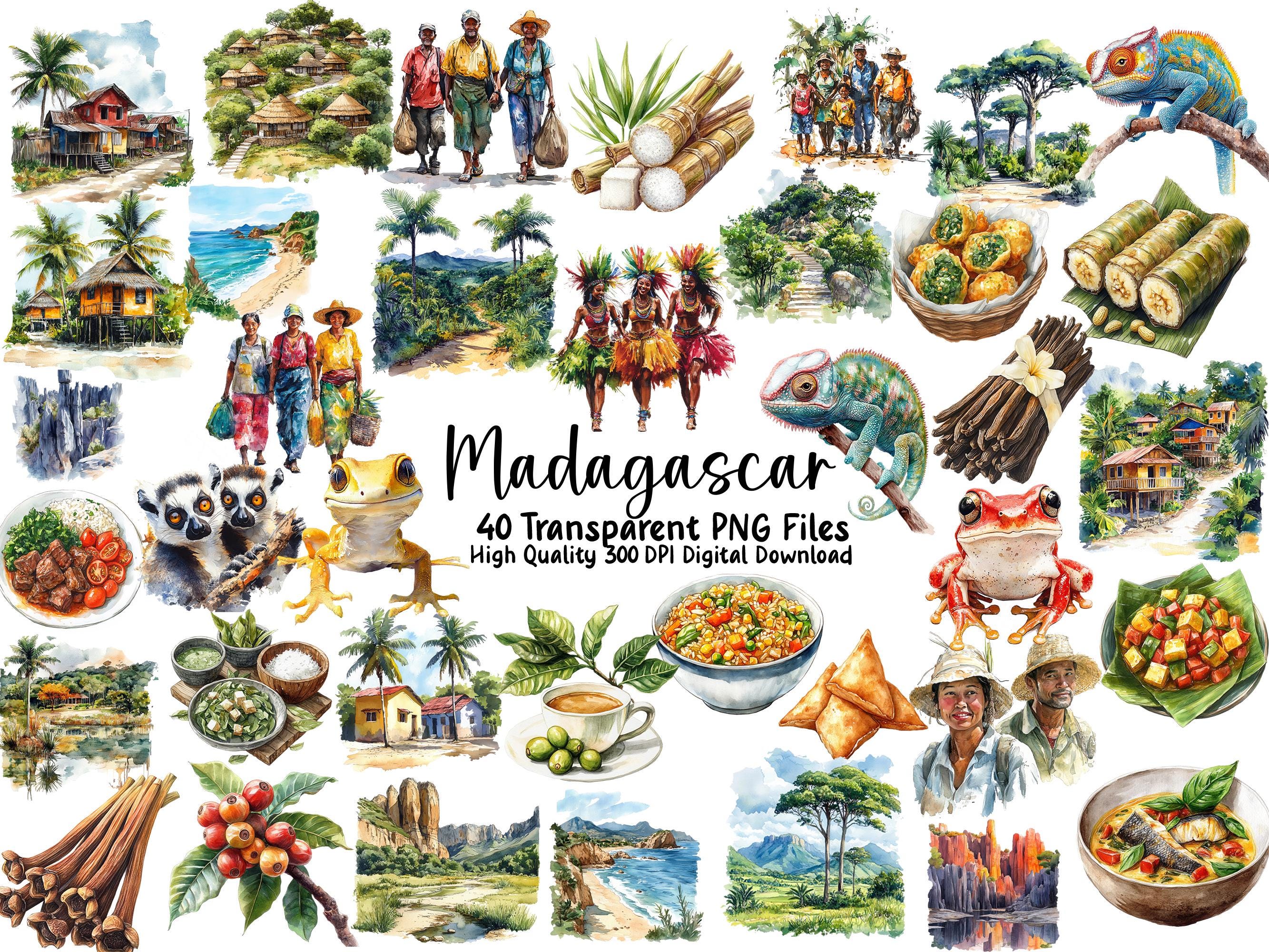 Watercolor Madagascar Clipart: Lemurs, Baobab Trees, Landmarks (PNG Images)