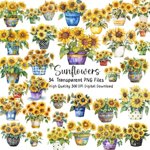 Hermosos girasoles en macetas, flores de jardinería en macetas de barro, decoración para exteriores, invitaciones, diarios basura, PNG, descarga instantánea