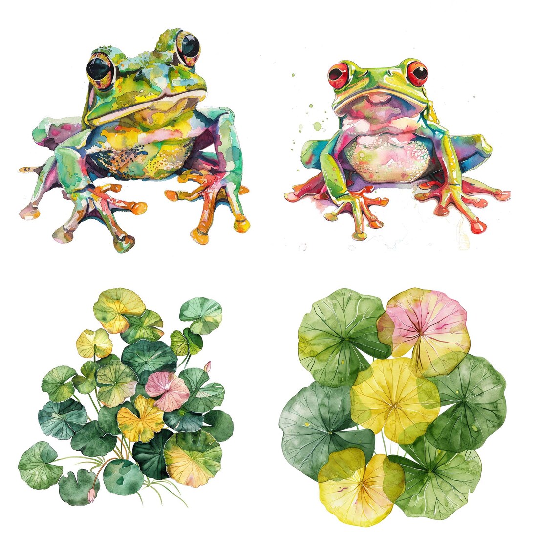 Whimsical Watercolor Frog Clipart Frog Images Beautiful Frog and Lily