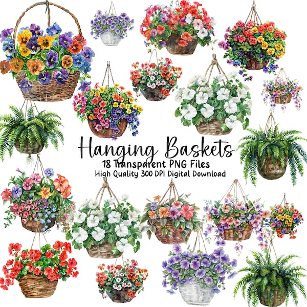 Beautiful Hanging Basket Clipart,  Hanging Flowers, Fern Clipart, Plants, Digital Download, Commercial Use