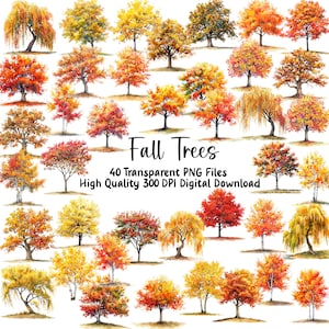 Pacchetto di clipart di alberi autunnali ad acquerello - Immagini PNG di alberi colorati, colori autunnali, illustrazioni grafiche di giornale, uso commerciale