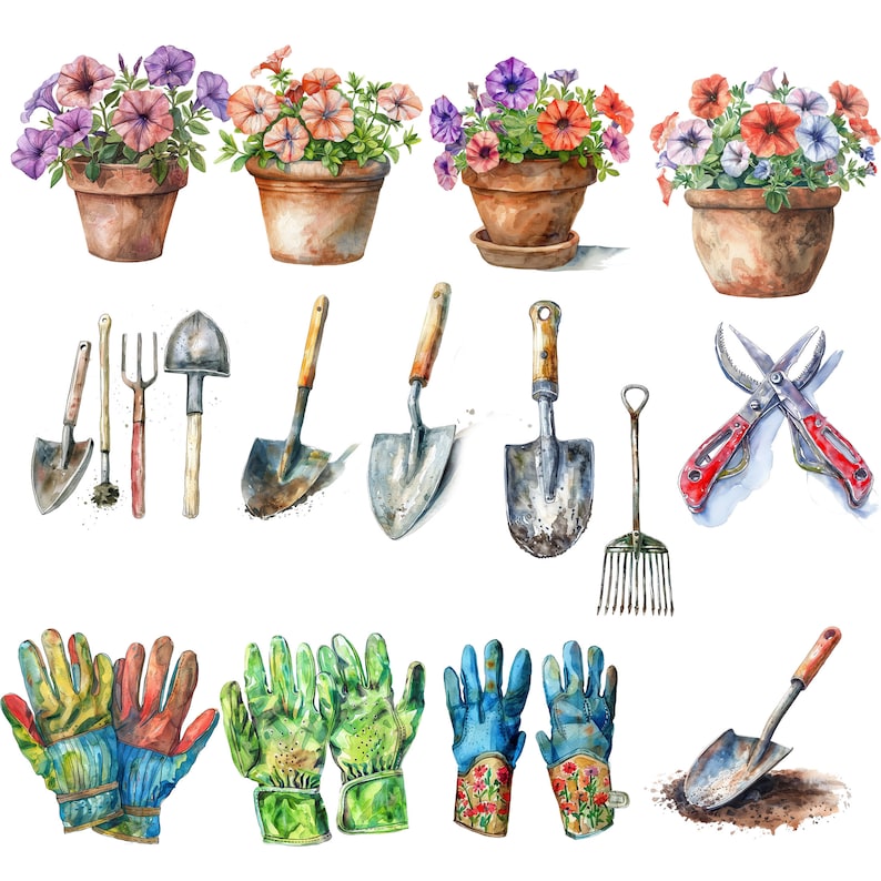 Pu&ograve; includere: Illustrazione ad acquerello di attrezzi da giardino e fiori. Gli attrezzi includono una pala, un rastrello, una cazzuola, un paio di cesoie da potatura e un rastrello a mano. I fiori sono petunie rosa, viola e bianche in vasi di terracotta.