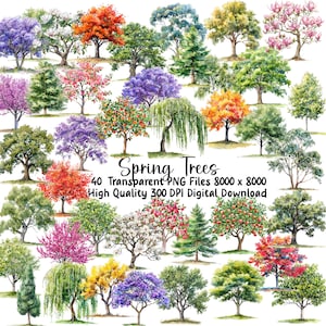 Paquete de imágenes prediseñadas de árboles de primavera de acuarela - Imágenes de árboles coloridos PNG, ilustraciones de gráficos de flores, descarga instantánea, uso comercial