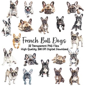 Französische Bulldogge Clipart, Tierbilder, Hunde, Welpen, Illustrationen, Kunsthandwerk, Einladungen, Planer, Scrapbooking, Aufkleber, PNG-Dateien