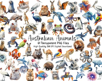 Australian Animal Clipart: Kangaroo, Koala, Wombat (Digital Download)