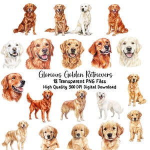 Watercolor Golden Retriever Clipart, Dog Images, Planner, Journals, Invitations, Animal Illustrations,  Scrapbooking, Crafts, Stickers, PNG
