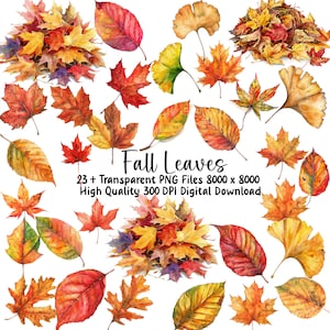 May include: A collection of 23 watercolour illustrations of autumn leaves in various shades of red, orange, yellow, and brown. The leaves are isolated on a white background. "Fall Leaves" and "23+ Transparent PNG Files 8000 x 8000 High Quality 300 DPI Digital Download" are written in black text at the bottom of the image.