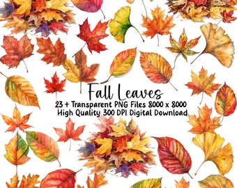 Watercolor Fall Leaves Clipart: PNG Autumn Graphics (Commercial Use)