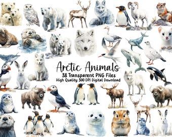 Arctic Animal Clipart: Polar Bear, Seal, Penguin (Instant Download)