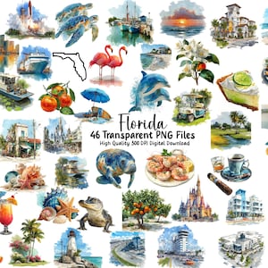 Puede incluir: Ilustraciones en acuarela de imágenes con temática de Florida, incluyendo delfines, flamencos, naranjas, playas y monumentos. También se ve el texto "Florida" y "46 Transparent PNG Files". Descarga digital de alta calidad.