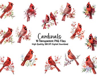 Cardinal Birds Watercolor Clipart, Red Birds, Bird Illustrations, Instant Download, Commercial Use PNG