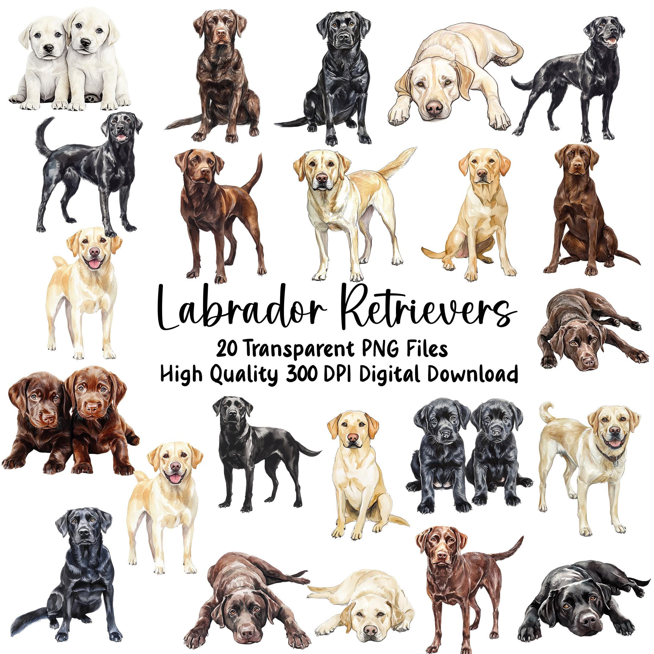 水彩画のラブラドールレトリバー犬のクリップアート、動物の画像、ラボ