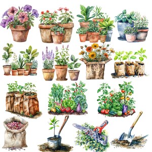 Pu&ograve; includere: Illustrazione ad acquerello di diverse piante in vaso e attrezzi da giardinaggio. L'illustrazione presenta una variet&agrave; di piante, tra cui fiori, erbe e verdure, nonch&eacute; attrezzi da giardinaggio come una pala, una vanga e delle cesoie.