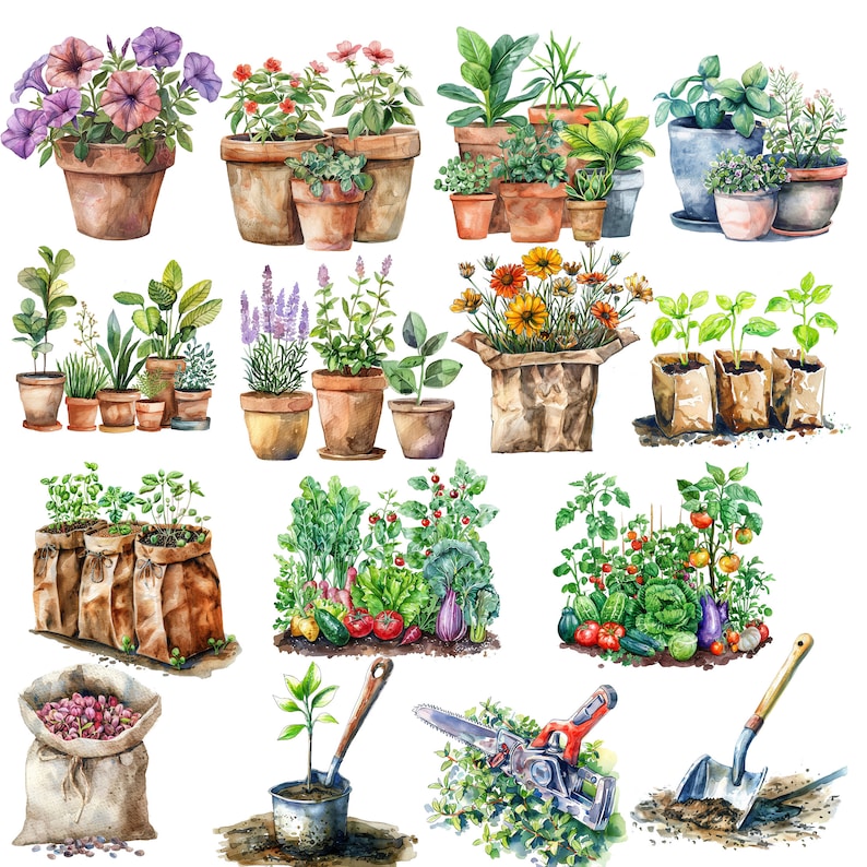 Pu&ograve; includere: Illustrazione ad acquerello di diverse piante in vaso e attrezzi da giardinaggio. L'illustrazione presenta una variet&agrave; di piante, tra cui fiori, erbe e verdure, nonch&eacute; attrezzi da giardinaggio come una pala, una vanga e delle cesoie.