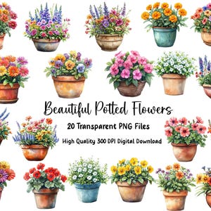 Lindas flores em vasos clipart | PNGs florais em aquarela | Ilustrações de plantas em vasos | Conjunto de clipart de jardim | Download digital