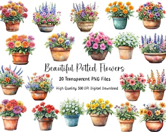 Watercolor Potted Flowers Clipart: Garden Floral PNGs (Digital Download)