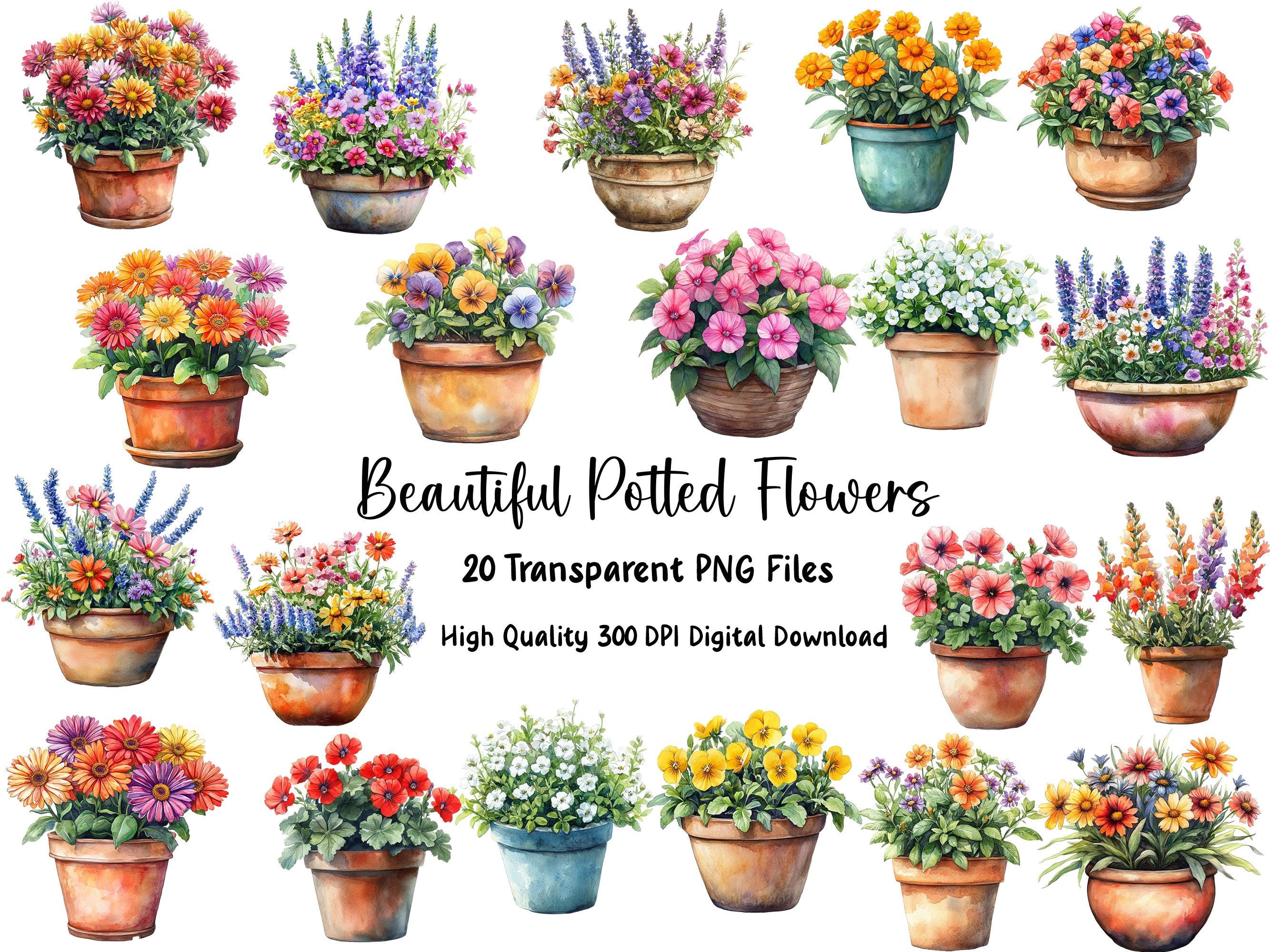 水彩画の鉢植えの花のクリップアート：庭の花のPNG（デジタル
