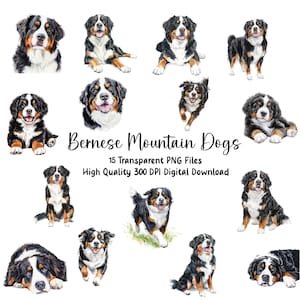 Aquarell Berner Sennenhund Clipart, Tierbilder, Illustrationen, Einladungen, Planer, Journals, Scrapbooking, Kunsthandwerk, Aufkleber, PNG